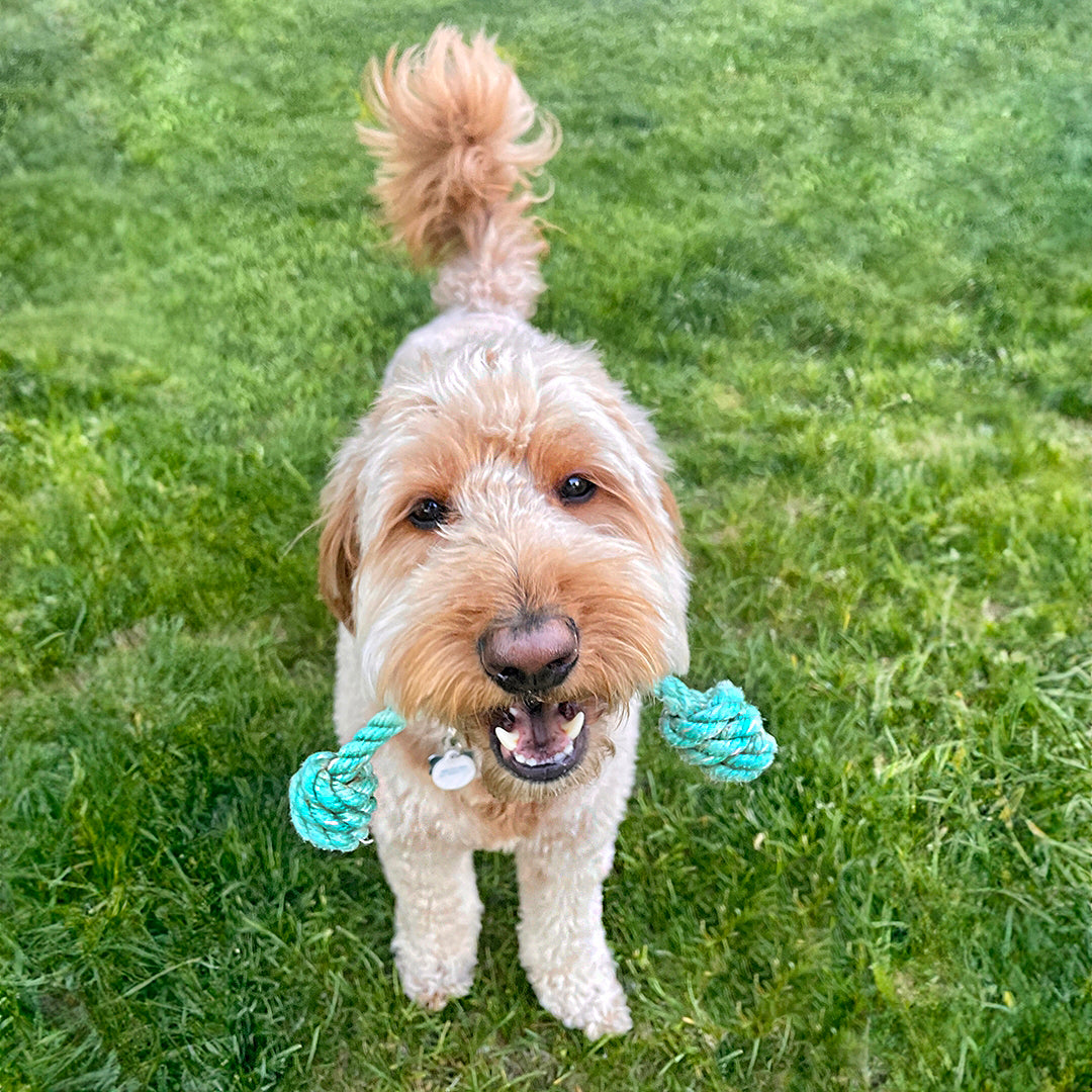 Upcycled Rope Dog Toy