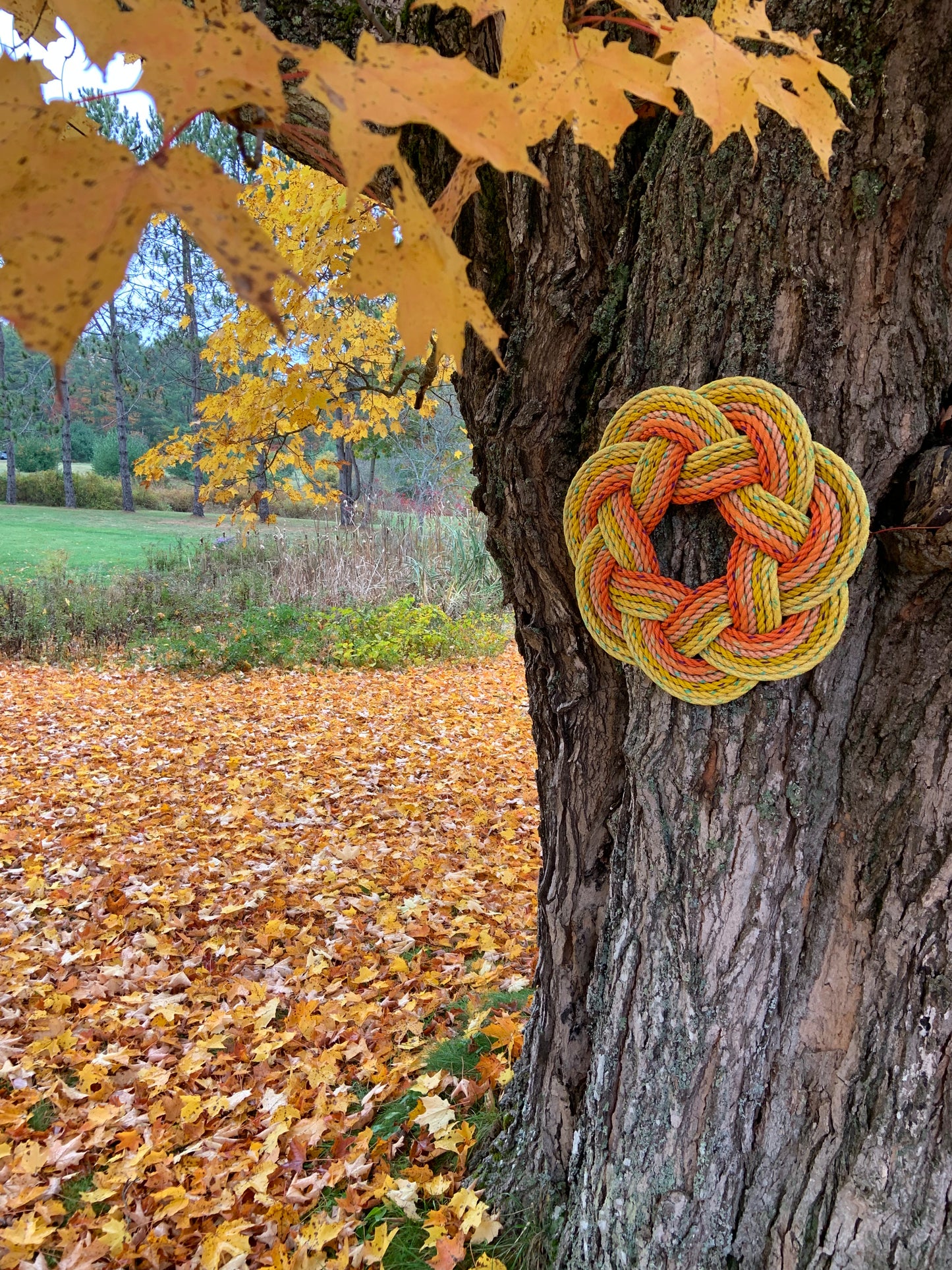 Autumn Wreath