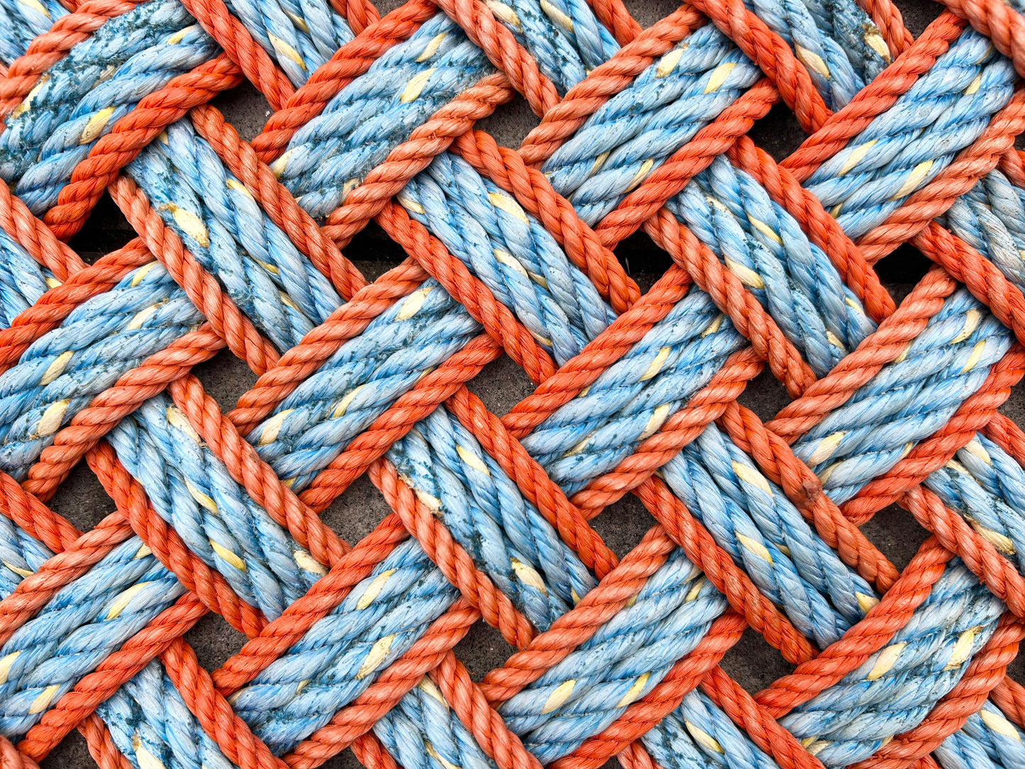 Vibrant lobster rope mat