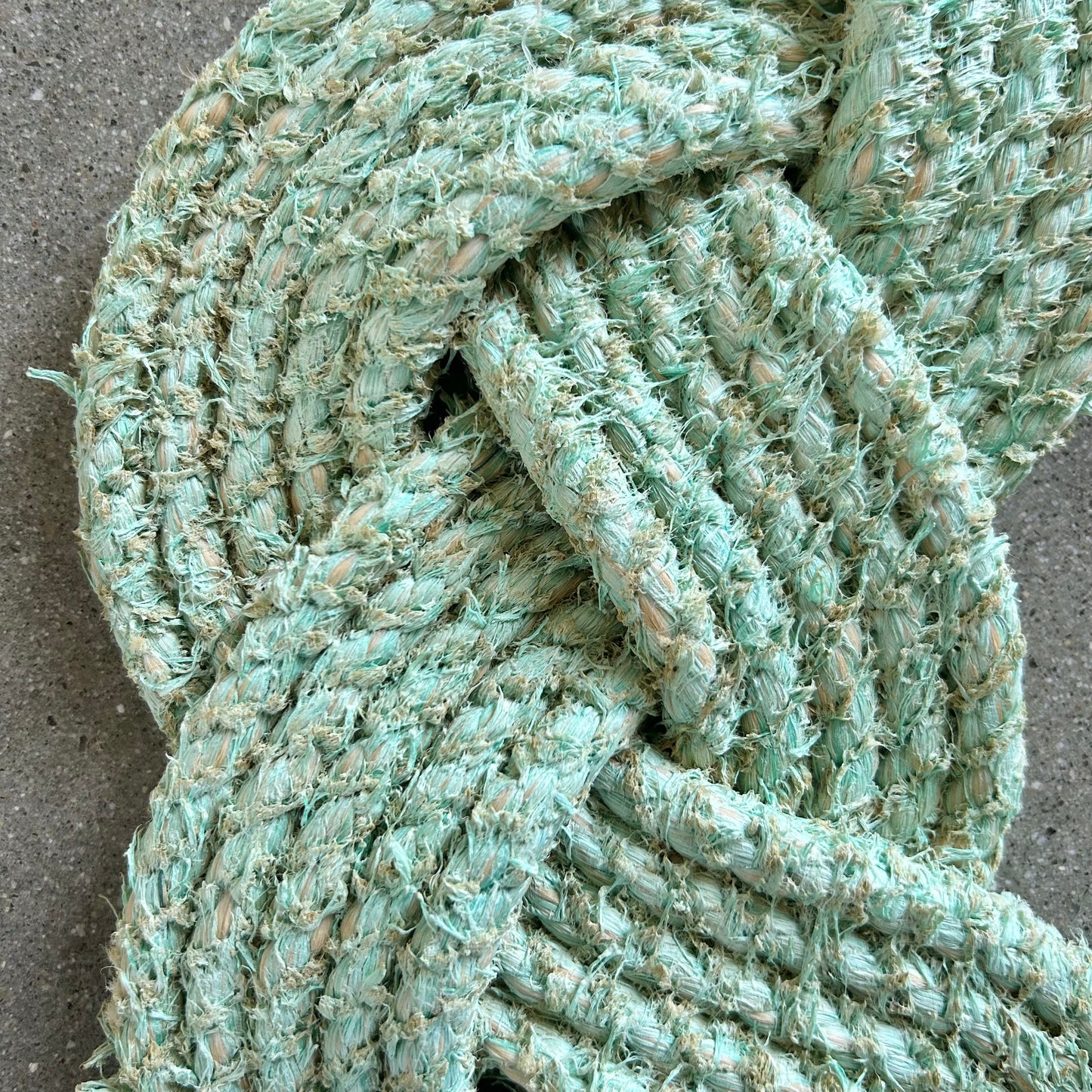 Rustic Urchin Green Mariner Wreath