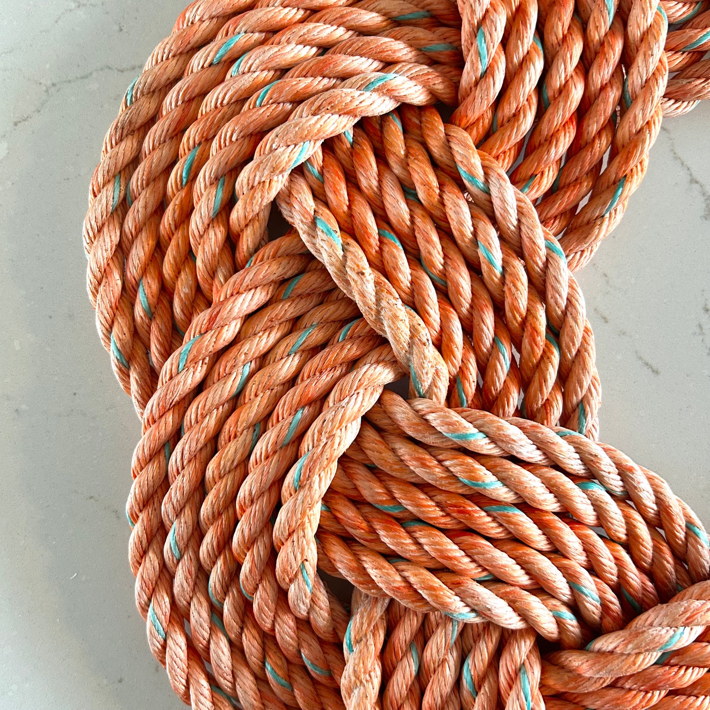 Mariner Wreath in Creamsicle