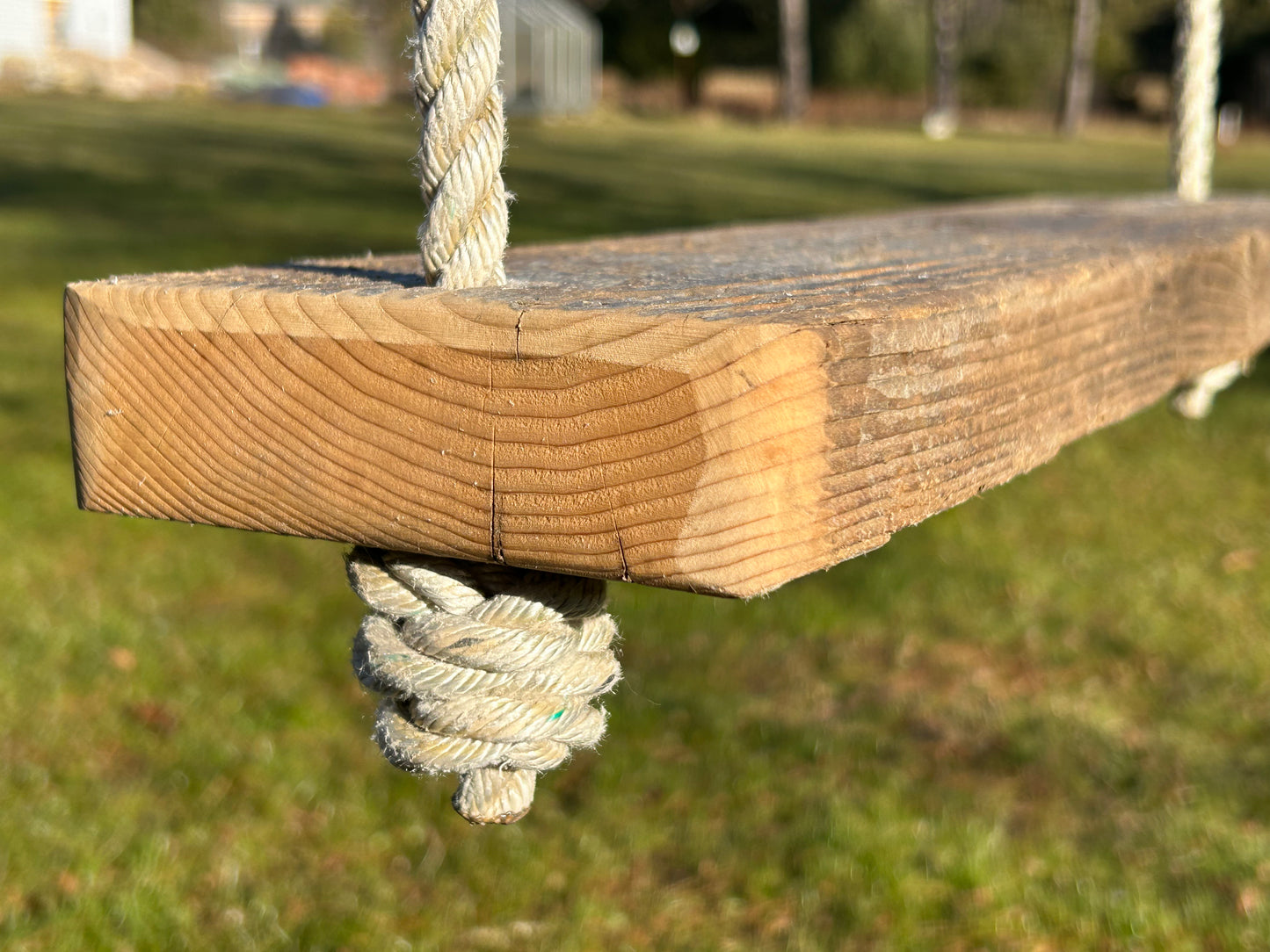 Maine Driftwood Swing