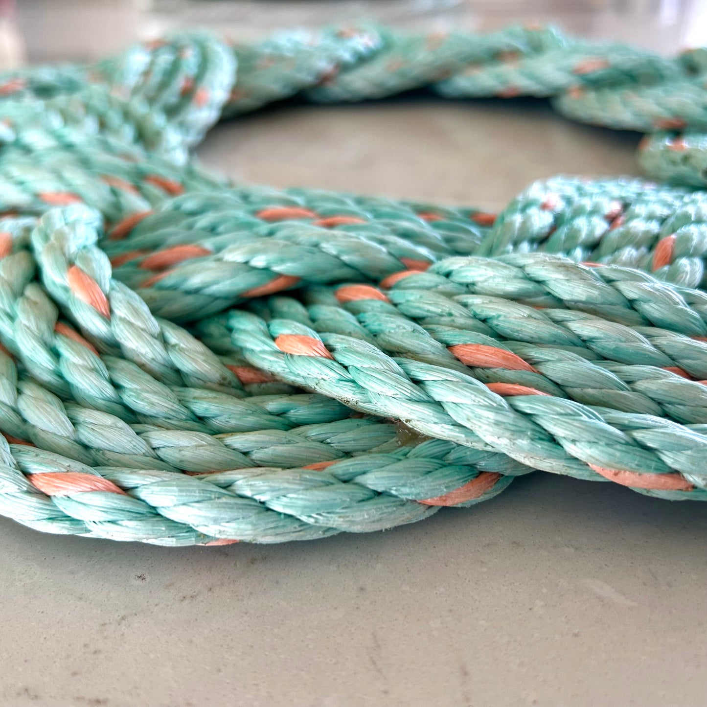 Mariner Wreath in Seashell
