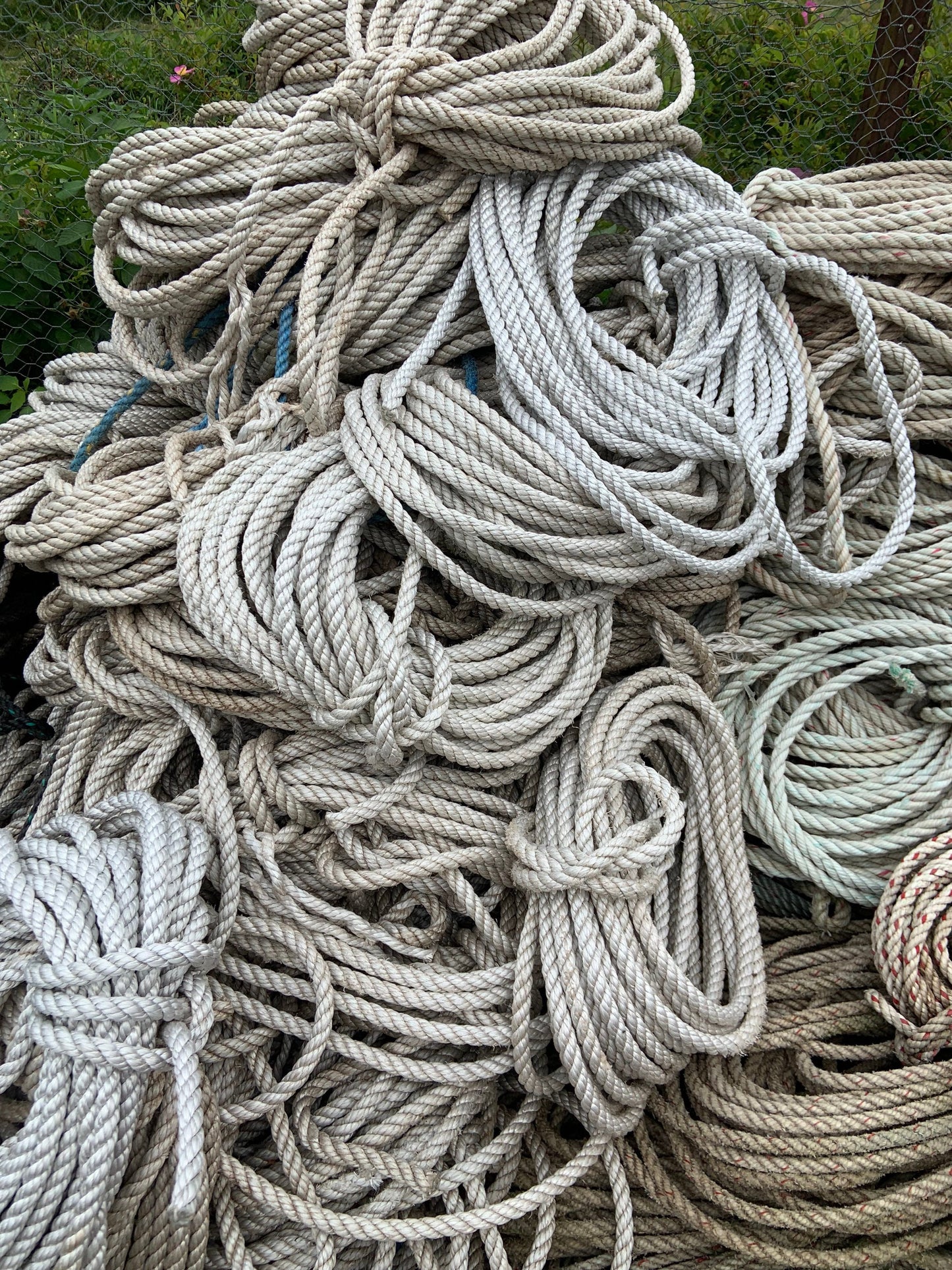 Mariner Wreath in Sea Shell