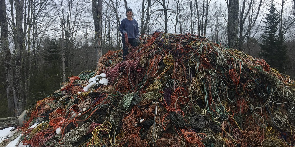 Lobster rope pile