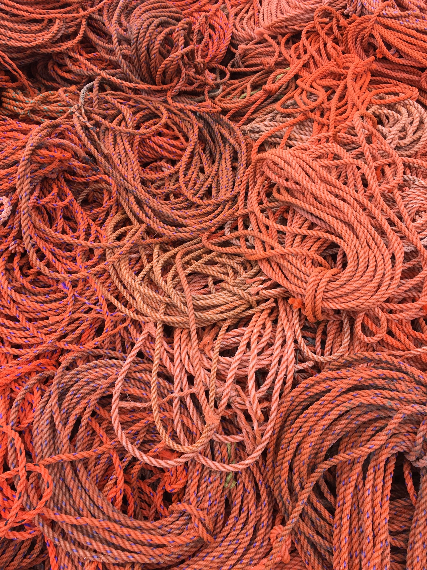 Tiger Lily Rope Mat