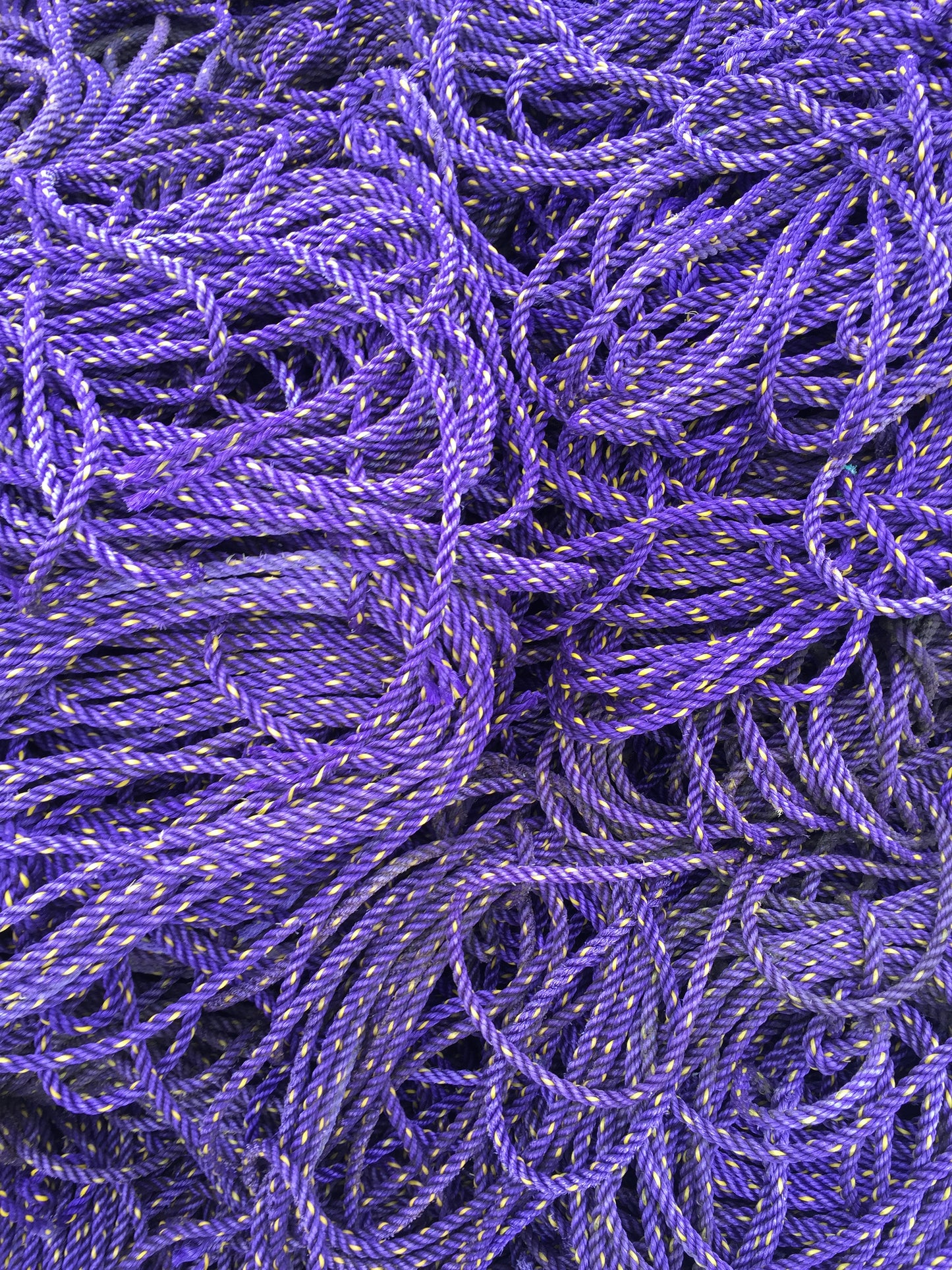 Mariner Wreath in Lupine