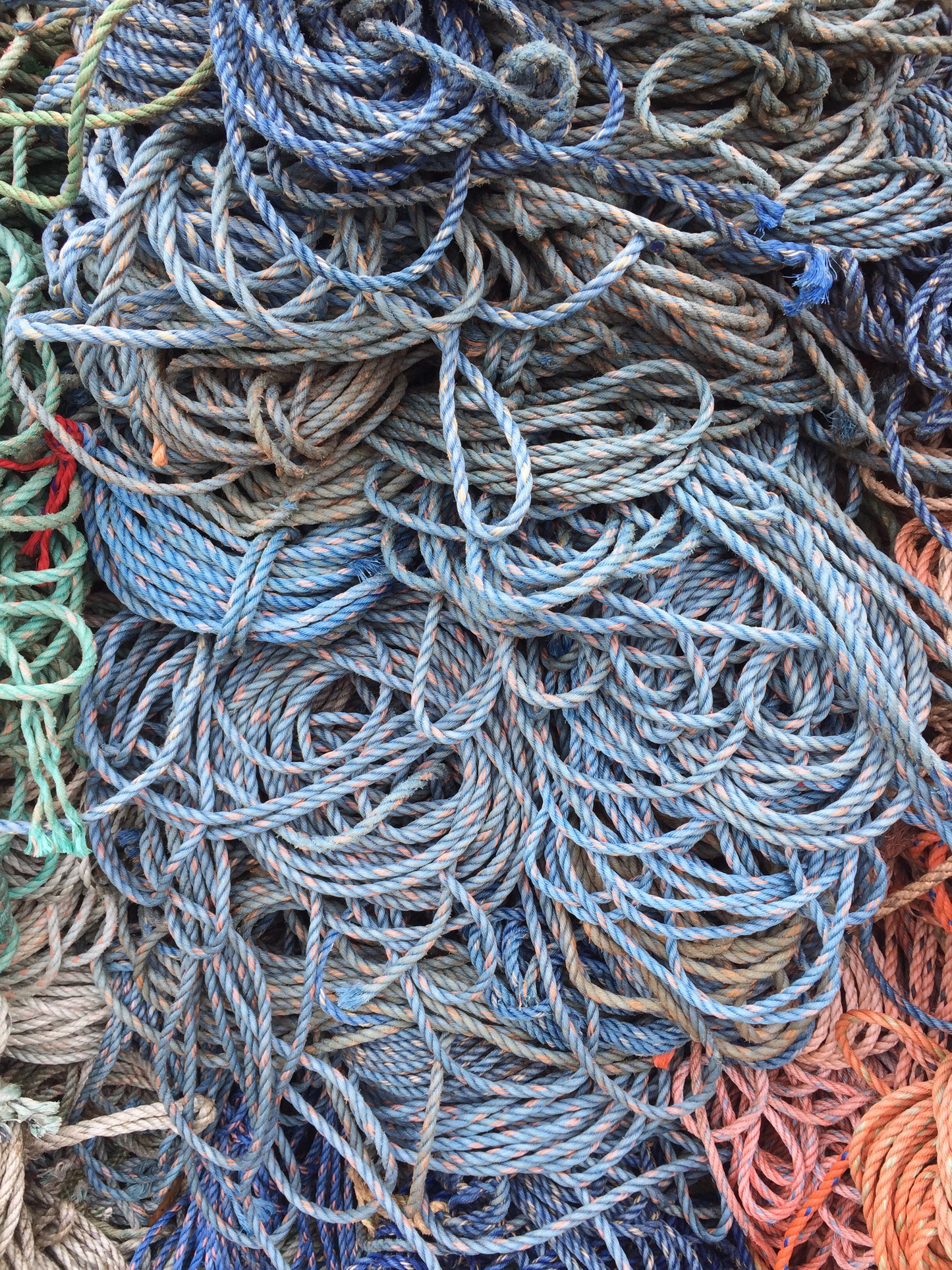 6' Blue Lobster Rope Dog Leash