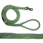 Mint green with tangerine leash for dog