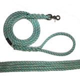 Turquoise with hint of coral rope leash