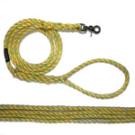 Yellow with hint of lime color dog leash