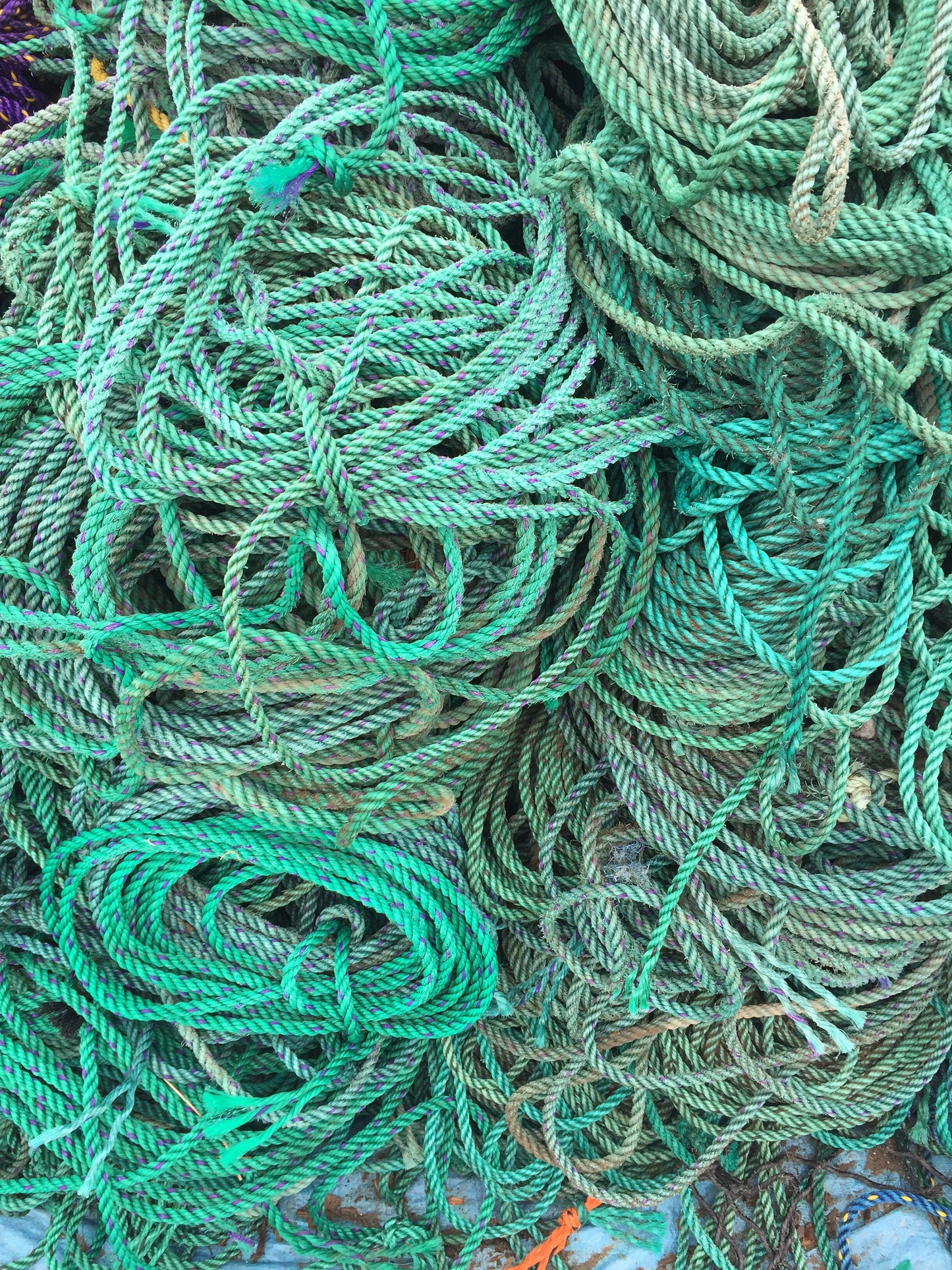 Sea Grass Green Wreath