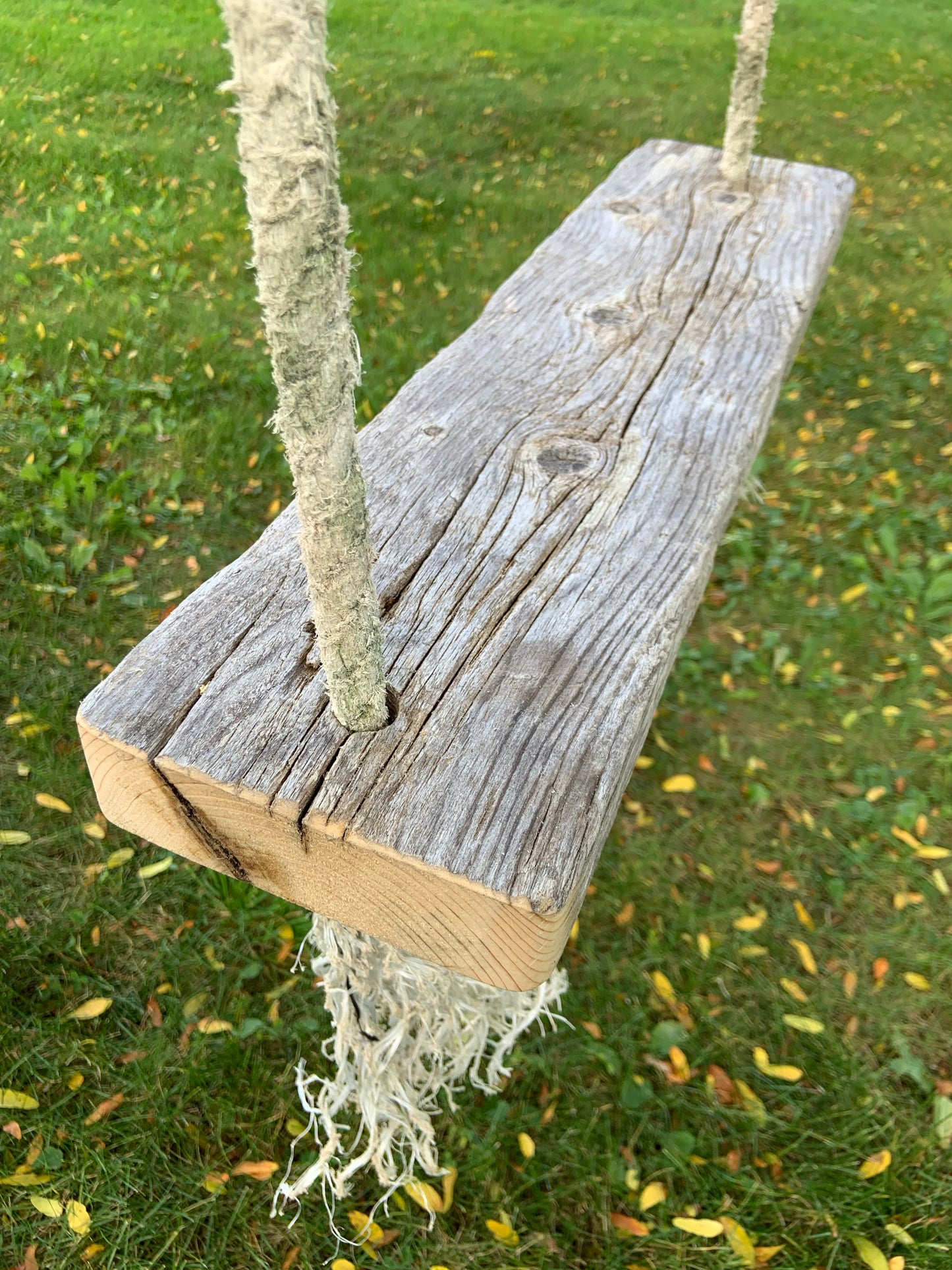 Chunky Driftwood Swing