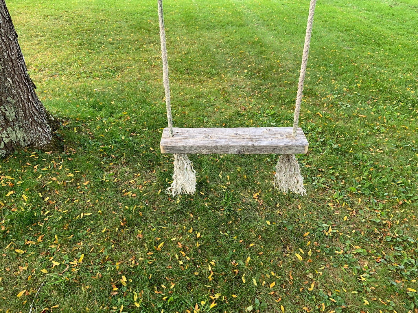 Chunky Driftwood Swing