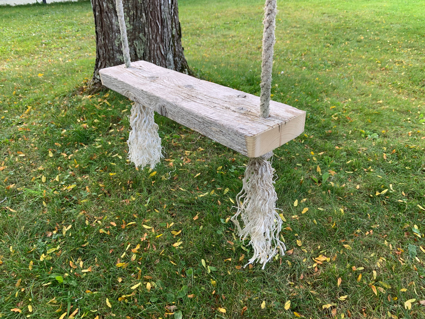 Chunky Driftwood Swing