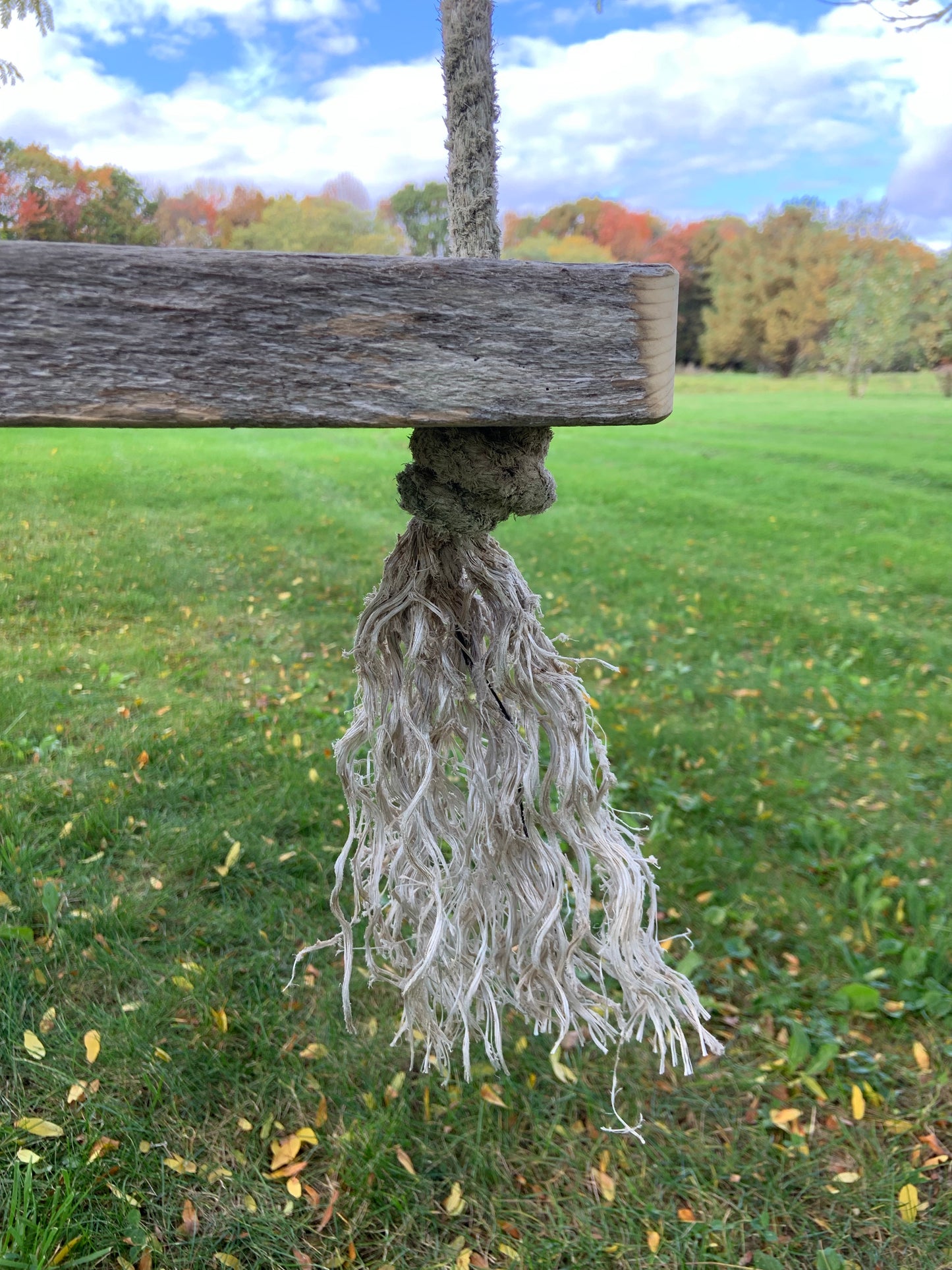 Chunky Driftwood Swing